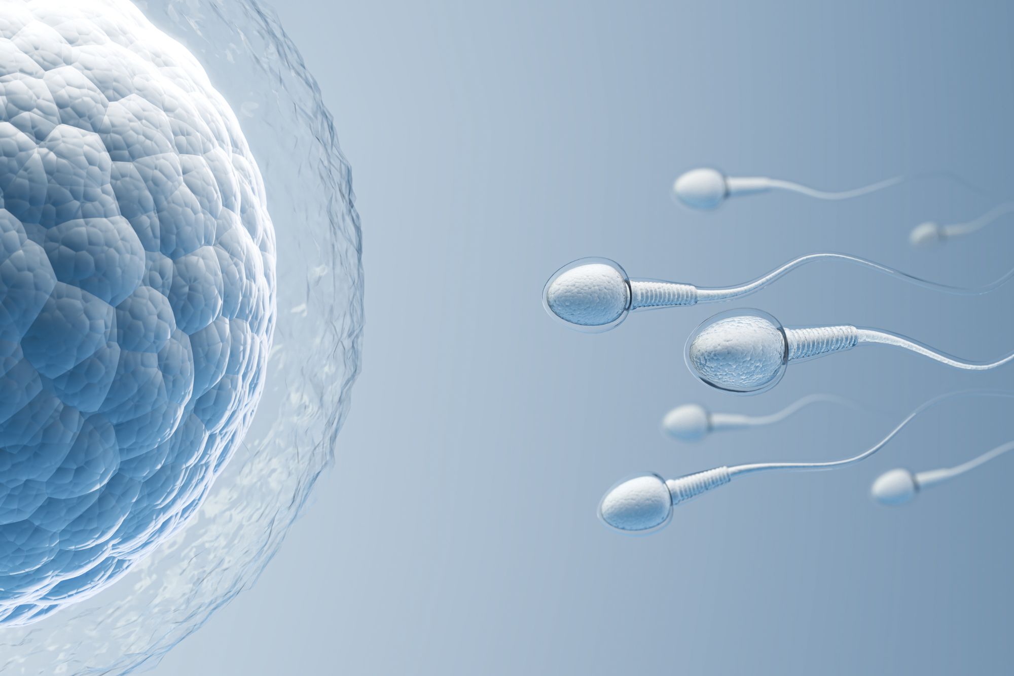 ivf (12)